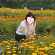 ヒメ日記 2025/05/18 11:42 投稿 浜辺 ゆい☆3 TiAmo（ティアモ）