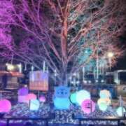 ヒメ日記 2025/01/31 12:24 投稿 いお 奥様特急　立川店