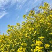 ヒメ日記 2025/04/10 12:54 投稿 いお 奥様特急　立川店