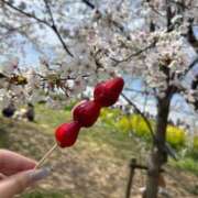 ヒメ日記 2025/04/11 10:54 投稿 いお 奥様特急　立川店