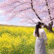 ヒメ日記 2026/03/29 15:14 投稿 いお 奥様特急　立川店