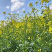 ヒメ日記 2026/04/09 12:54 投稿 いお 奥様特急　立川店