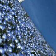 ヒメ日記 2026/04/29 16:14 投稿 いお 奥様特急　立川店