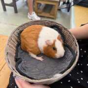 ヒメ日記 2026/06/26 13:44 投稿 いお 奥様特急　立川店