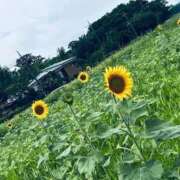 ヒメ日記 2026/07/18 17:54 投稿 いお 奥様特急　立川店
