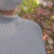 ヒメ日記 2026/03/30 16:14 投稿 なみ 奥様特急　立川店