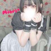 ヒメ日記 2025/01/14 06:45 投稿 みおり Number Five 品川（シンデレラグループ）