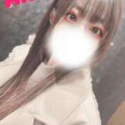 ヒメ日記 2025/03/09 12:45 投稿 みおり Number Five 品川（シンデレラグループ）