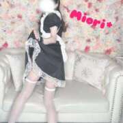 ヒメ日記 2025/03/17 07:01 投稿 みおり Number Five 品川（シンデレラグループ）