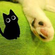 ヒメ日記 2025/04/08 07:15 投稿 みおり Number Five 品川（シンデレラグループ）