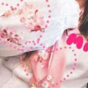 ヒメ日記 2025/04/15 12:02 投稿 みおり Number Five 品川（シンデレラグループ）