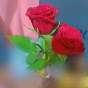 ヒメ日記 2025/04/23 12:06 投稿 みおり Number Five 品川（シンデレラグループ）