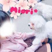 ヒメ日記 2025/05/04 08:00 投稿 みおり Number Five 品川（シンデレラグループ）