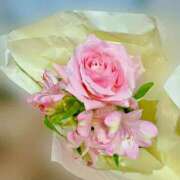 ヒメ日記 2025/07/30 12:28 投稿 みおり Number Five 品川（シンデレラグループ）