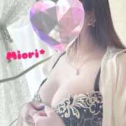 ヒメ日記 2025/08/15 12:00 投稿 みおり Number Five 品川（シンデレラグループ）