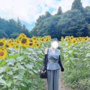 ヒメ日記 2025/08/16 12:00 投稿 みおり Number Five 品川（シンデレラグループ）