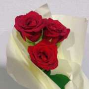 ヒメ日記 2025/09/23 12:02 投稿 みおり Number Five 品川（シンデレラグループ）