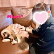 ヒメ日記 2025/10/13 12:00 投稿 みおり Number Five 品川（シンデレラグループ）