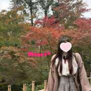 ヒメ日記 2025/11/26 12:00 投稿 みおり Number Five 品川（シンデレラグループ）