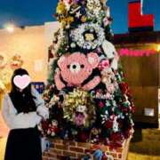 ヒメ日記 2025/12/15 12:02 投稿 みおり Number Five 品川（シンデレラグループ）