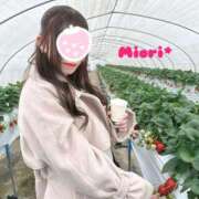 ヒメ日記 2026/01/07 12:00 投稿 みおり Number Five 品川（シンデレラグループ）