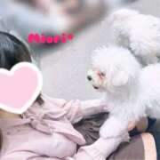 ヒメ日記 2026/01/13 12:01 投稿 みおり Number Five 品川（シンデレラグループ）