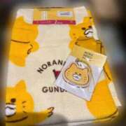 ヒメ日記 2026/02/24 12:02 投稿 みおり Number Five 品川（シンデレラグループ）