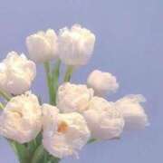 ヒメ日記 2025/02/07 12:52 投稿 きい 新宿11チャンネル