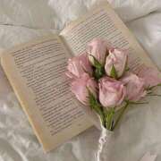 ヒメ日記 2025/04/16 18:35 投稿 きい 新宿11チャンネル