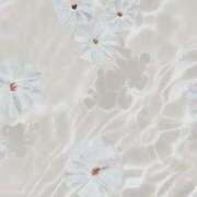 ヒメ日記 2025/05/20 20:02 投稿 きい 新宿11チャンネル