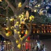 ヒメ日記 2024/12/18 11:03 投稿 ♡チフネ MEGA PALACE(メガパレス）