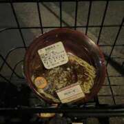 ヒメ日記 2025/02/19 08:03 投稿 ♡チフネ MEGA PALACE(メガパレス）