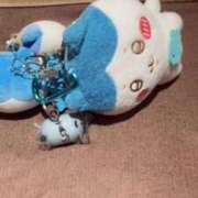 ヒメ日記 2025/02/22 12:24 投稿 ♡チフネ MEGA PALACE(メガパレス）