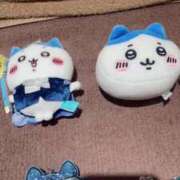 ヒメ日記 2025/02/22 12:48 投稿 ♡チフネ MEGA PALACE(メガパレス）