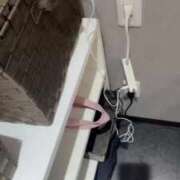 ヒメ日記 2025/02/26 23:53 投稿 ♡チフネ MEGA PALACE(メガパレス）