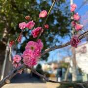 ヒメ日記 2025/02/27 19:23 投稿 ♡チフネ MEGA PALACE(メガパレス）