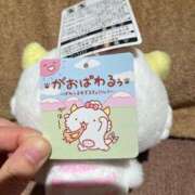 ヒメ日記 2025/03/13 23:05 投稿 ♡チフネ MEGA PALACE(メガパレス）