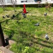 ヒメ日記 2025/04/05 22:18 投稿 ♡チフネ MEGA PALACE(メガパレス）