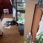 ヒメ日記 2025/04/25 14:23 投稿 ♡チフネ MEGA PALACE(メガパレス）