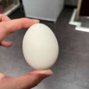 ヒメ日記 2025/05/31 09:33 投稿 ♡チフネ MEGA PALACE(メガパレス）