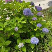 ヒメ日記 2025/06/04 14:03 投稿 ♡チフネ MEGA PALACE(メガパレス）