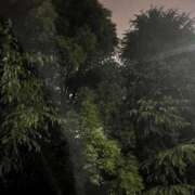 ヒメ日記 2025/06/16 05:53 投稿 ♡チフネ MEGA PALACE(メガパレス）