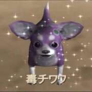 ヒメ日記 2025/09/14 05:43 投稿 ♡チフネ MEGA PALACE(メガパレス）