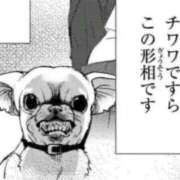 ヒメ日記 2025/09/23 06:33 投稿 ♡チフネ MEGA PALACE(メガパレス）