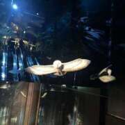 ヒメ日記 2025/10/10 16:03 投稿 ♡チフネ MEGA PALACE(メガパレス）