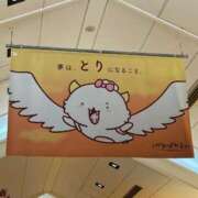 ヒメ日記 2025/10/12 08:13 投稿 ♡チフネ MEGA PALACE(メガパレス）