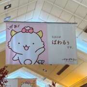 ヒメ日記 2025/10/14 10:44 投稿 ♡チフネ MEGA PALACE(メガパレス）