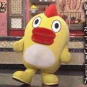 ヒメ日記 2025/11/10 17:53 投稿 ♡チフネ MEGA PALACE(メガパレス）