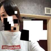 ヒメ日記 2025/11/12 19:33 投稿 ♡チフネ MEGA PALACE(メガパレス）