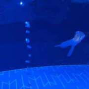 ヒメ日記 2025/11/13 15:11 投稿 ♡チフネ MEGA PALACE(メガパレス）